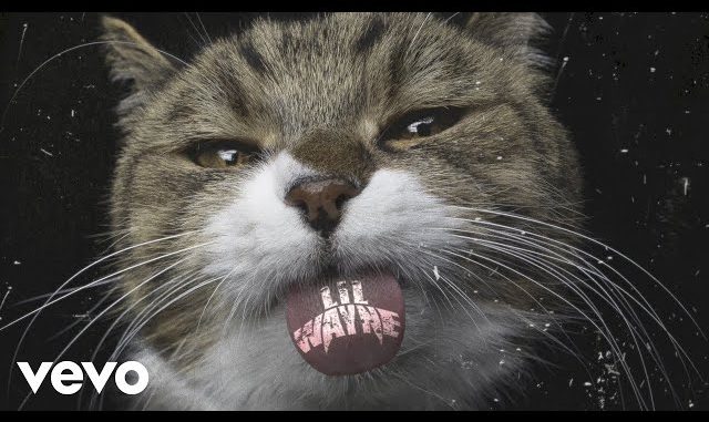 Lil-Wayne-Kat-Food-1.jpg